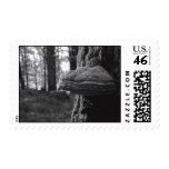 Hoof Fungus Postage