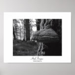 Hoof Fungus Print