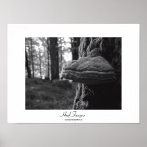 Hoof Fungus Print
