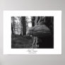 Hoof Fungus Print