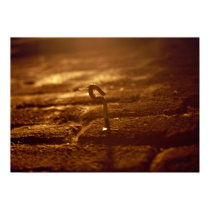 Hook in the Wall posters