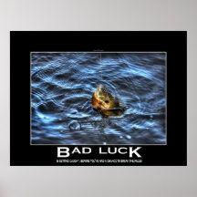 Hooked Bluegill Sun Fish Demotivational Poster