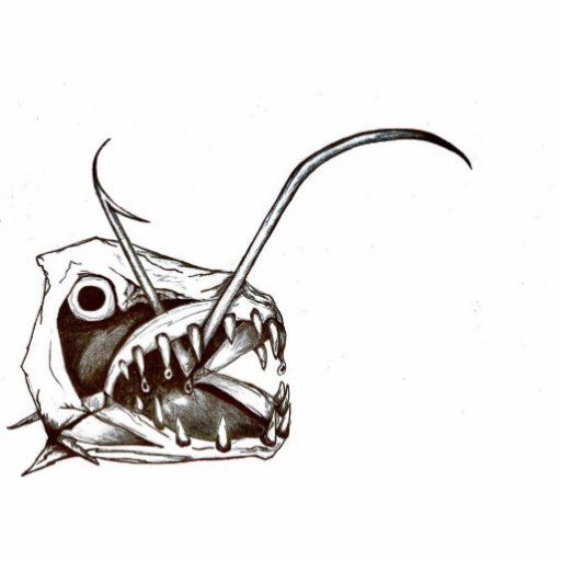 Hooked Fish Head Magnet Photo Sculptures