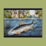 Hooked Fish Post Card Hooked Fish Post Card