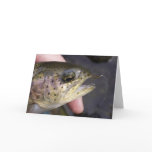 Hooked on fly fishing - Card