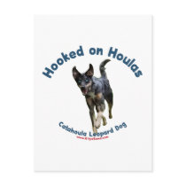 Hooked on Houlas Dogs Postcards