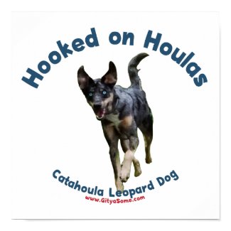 Hooked on houlas catahoula poster