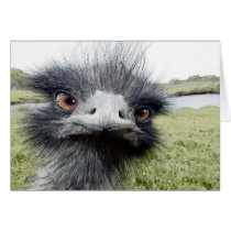 Hooks Greeting Card