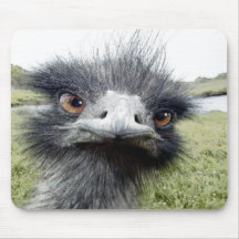 Hooks Mouse Pads