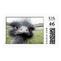 Hooks Postage Stamps