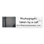 Hoop Dreams bumper sticker bumper stickers