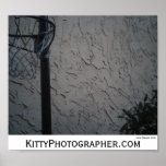 Hoop Dreams poster posters