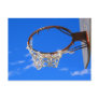 Hooped Out Postcard