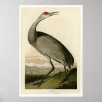 Hooping Crane Print