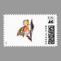 hoopoe bird