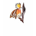 hoopoe bird t-shirts by doonidesignsanimals hoopoe bird t-shirts