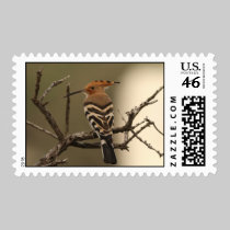 Hoopoe Postage Stamps stamps