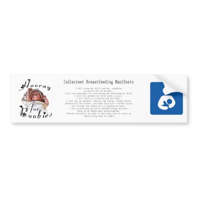 Hooray for Boobies!  Bumper Sticker by tbarcequine