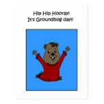 Hooray its Groundhog day postcard