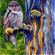 Hoo's Look'n Sculpture photo sculptures by artbyjolyn Hoo's Look'n Sculpture photo sculptures