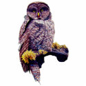 Hoo's Look'n Sculpture Pin photo sculptures