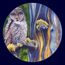 Hoo's Look'n Stickers
