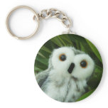 Hoot Hoot! Keychain