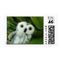 Hoot Hoot! postage