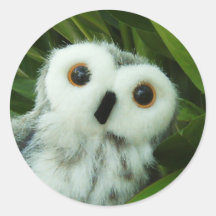 Hoot Hoot! Sticker