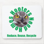 Hooters Need Homes