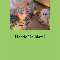 Hootie Holidays! t-shirts