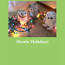 Hootie Holidays! t-shirts