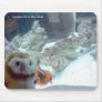 Hootin' Annie and Clownfish Mouse Pad
