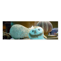 Hootin' Annie & Corals Bookmark business cards