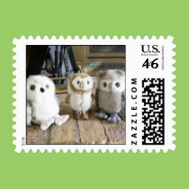 Hootin' Annie & Friends stamps