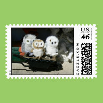 Hootin' Annie & Friends stamps