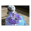Hootin' Annie Reflections cards