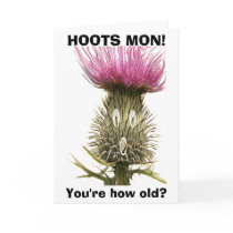 Hoots Mon! cards by Artworks Hoots Mon! cards