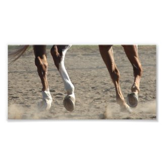 Hooves in Motion Photo Print