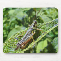 Hop on over to my PAD mousepads