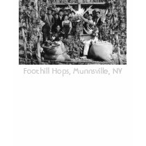 Hop Picking Volunteer t-shirts