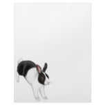 Hop to It Rabbit Letterhead