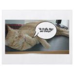 Hope and Change/Cat Humor Full Color Flyer