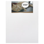 Hope and Change/Cat Humor Custom Letterhead