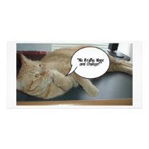 Hope and Change/Cat Humor Custom Photo Card