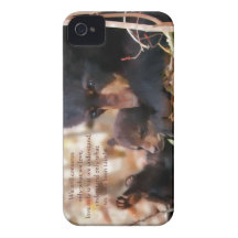 Hope and Faith iPhone Case iPhone 4 Covers