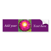 Hope_ bumper stickers