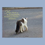 Hope (Cat) Fine Art Print