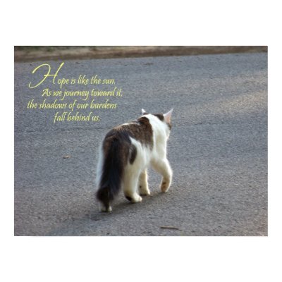 Hope (Cat) Fine Art Print by jaisjewels