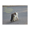 Hope (Cat) Postcards